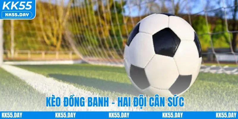 Tỷ Lệ Kèo Châu Á Hôm Nay - Hướng Dẫn Chơi Chi Tiết Tại KK55 2 Kèo đồng banh - Cân bằng thực lực