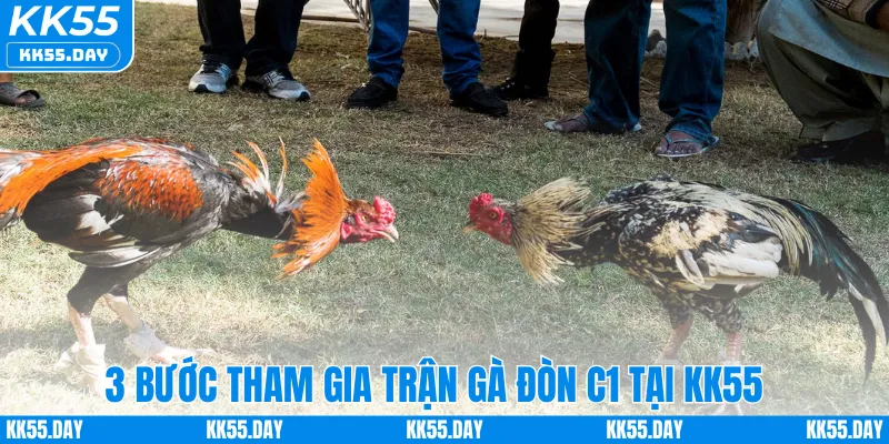 Đá Gà Đòn C1 – Khám Phá Sân Chơi Đỉnh Cá Cược Cao Tại KK55 4 3 bước tham gia trận gà đòn C1 tại KK55