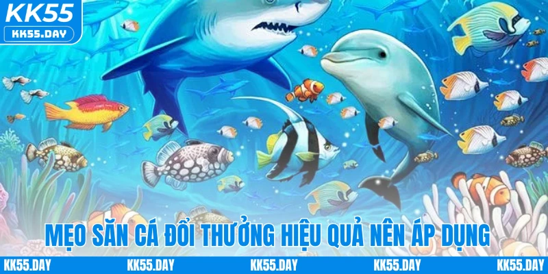 Game Bắn Cá Đổi Thưởng - Game Giải Trí Đổi Thưởng Hot Hit 3 Mẹo săn cá đổi thưởng hiệu quả nên áp dụng