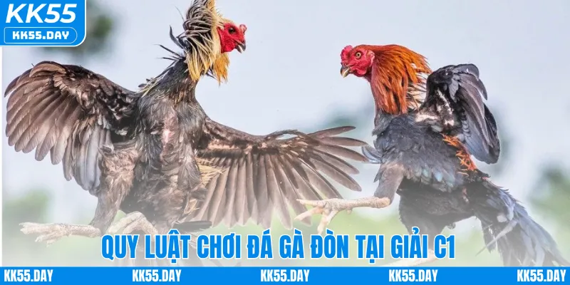 Đá Gà Đòn C1 – Khám Phá Sân Chơi Đỉnh Cá Cược Cao Tại KK55 3 Quy luật chơi đá gà đòn tại giải C1